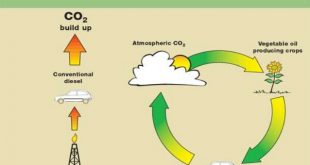 چرخه سوخت های زیستی