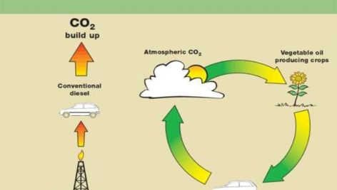 چرخه سوخت های زیستی